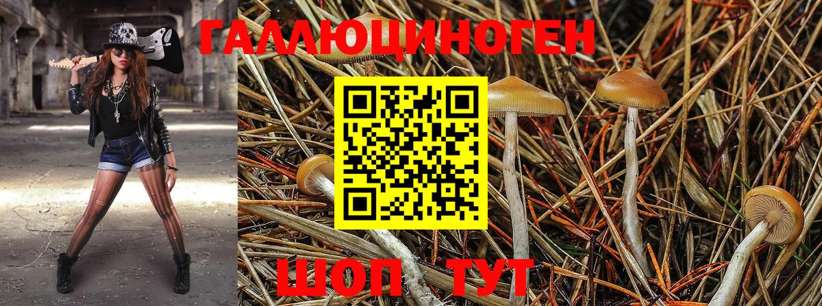 Псилоцибиновые грибы Magic Shrooms  Псилоцибиновые грибы мицелий  Котлас  Вход с VPN 